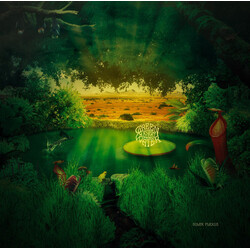 Green Desert Water Solar Plexus