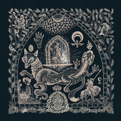 Petrels The Dusk Loom Vinyl LP