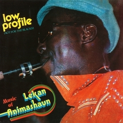 Lekan Animashaun Low Profile (Not For The Blacks) VINYL LP