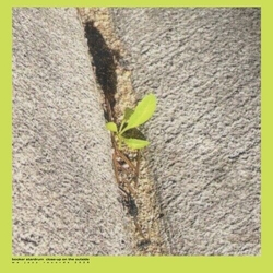 Booker Stardrum Close-Up On The Outside VINYL LP