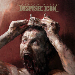 Despised Icon Shadow Work (Blk) (Colv) (Red) (Wht) VINYL LP