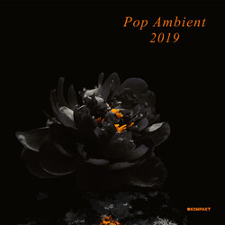 Various Pop Ambient 2019 Vinyl 2 LP