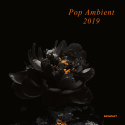 Various Pop Ambient 2019 Vinyl 2 LP