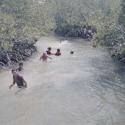 Bellows Undercurrent Vinyl