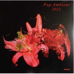 Various Pop Ambient 2021 Vinyl LP