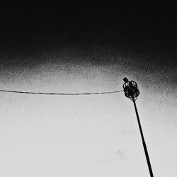 Joonam Tightrope Vinyl