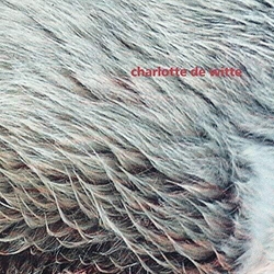 Charlotte De Witte Vision Vinyl EP
