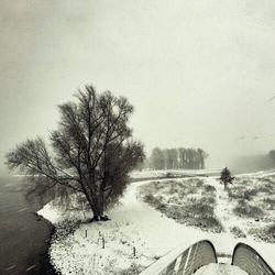 Beequeen Winter Vinyl