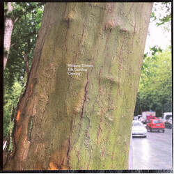 Wolfgang Tillmans Life Guarding/Growing Vinyl