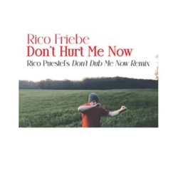Rico Friebe Dont Hurt Me Now (Rico Pueste VINYL LP