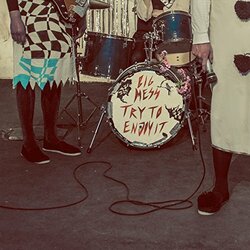 Big Mess Try To Enjoy It Vinyl
