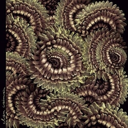 Clan Caiman Pica Pau VINYL LP