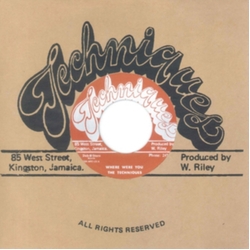 The Techniques Where Were You Vinyl