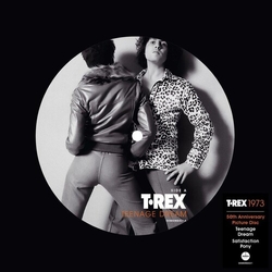 T.Rex Teenage Dream: 50Th Anniversary (Pict) (Uk) VINYL LP
