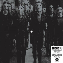 Suede We Are The Pigs: 30Th Anniversary (Pict) (Uk) VINYL LP