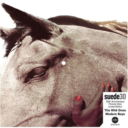 Suede Wild Ones: 30Th Anniversary (Pict) (Uk) VINYL LP