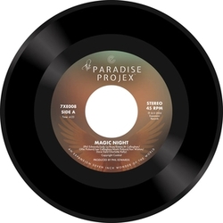 Paradise Projex Magic Night / Someone Like You (Uk) VINYL LP