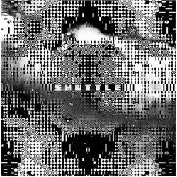 Shuttle (2) Tunnel