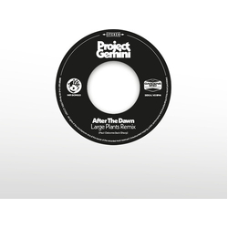 Project Gemini After The Dawn - Large Plants Remix / Darkness VINYL LP