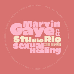 Gaye,Marvin / Studio Rio Sexual Healing VINYL LP