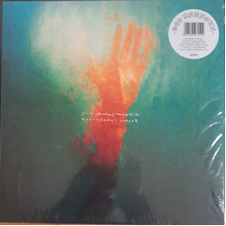 James Johnston / Steve Gullick Everybody's Sunset Vinyl LP