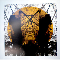 Austra Feel It Break
