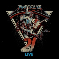 Mcfly 21 Live (Uk) VINYL LP