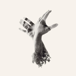 The Last Dinosaur The Nothing Vinyl LP