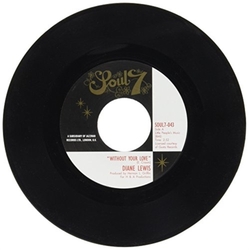Diane Lewis 7-Without Your Love Vinyl