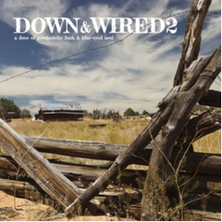 V/A Best Of Down & Wired 2 Vinyl