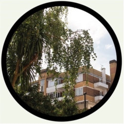 Sw2-Hither Green Glide For The People Vinyl