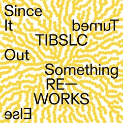 Adrian Corker Tiblsc Re-Works Of Since It Turned Out Something Else VINYL LP