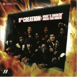 9Th Creation What's Shakin' VINYL LP