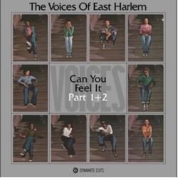 Voices Of East Harlem Can You Feel It VINYL LP