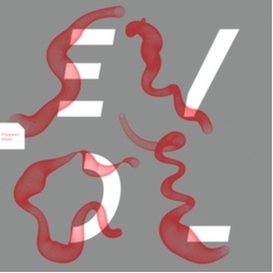Evol Flapper That VINYL LP