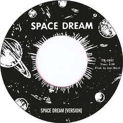 The Funk Revolution Space Dream VINYL LP