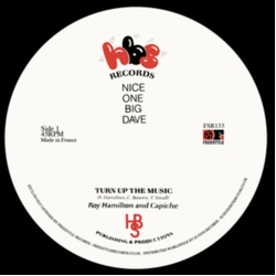 Roy Hamilton & Capiche Turn Up The Music VINYL LP