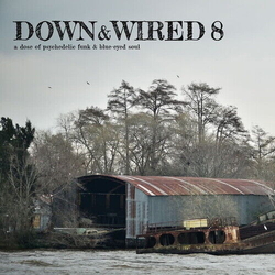 Down & Wired / Various Down & Wired / Various VINYL LP