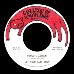 Let Your Hair Down-Pingu'S Anthem B W Gronk VINYL LP