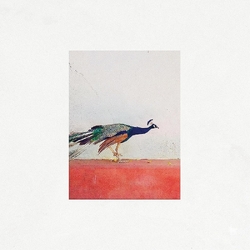 Jason Singh & The Banwasi Collective Travellers VINYL LP