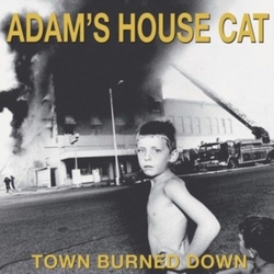 Adam'S House Cat World Burned Down Vinyl