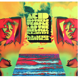 Acid Mothers Temple Paralyzed Genius Brain VINYL LP