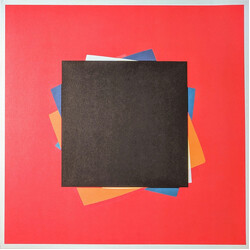 Kinkajous Hidden Lines Vinyl LP