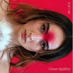 Ann Liu Cannon Clever Rabbits VINYL LP
