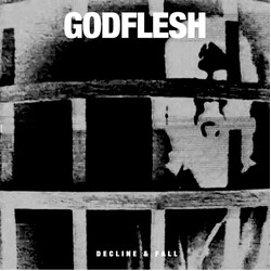 Godflesh Decline & Fall