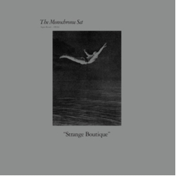 Monochrome Set The Strange Boutique (Clear Vinyl) Vinyl