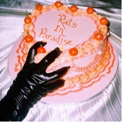Breeze Emily Rats In Paradise VINYL LP