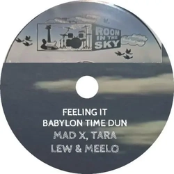 Mad X Tara Lew And Meelo Medi-Feeling It Babylon Time Dun VINYL LP