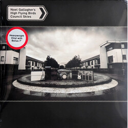 Noel Gallagher's High Flying Birds Council Skies Vinyl LP