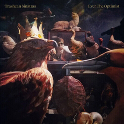 Trashcan Sinatras Ever The Optimist VINYL LP
